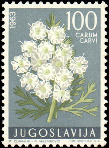 Yugoslavia #689-694, Complete Set(6), 1963, Flowers, Never Hinged