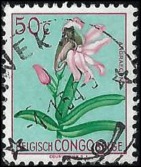 BELGIAN CONGO   #268 USED (6)