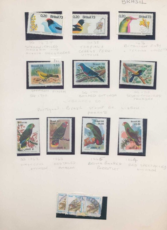 Bermuda Bernera Brazil Brechou BIRDS MH MNH Used+Covers(80+Stamps)(PK701 