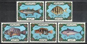 Libya Stamp 526-530  - Fish