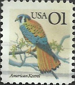 # 2476 USED KESTREL    