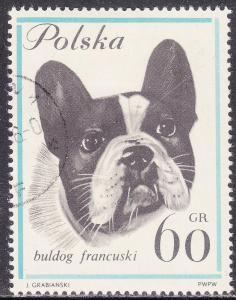 Poland 1119 French Bulldog 60Gr 1963