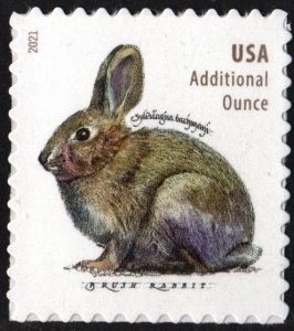 SC#5544 (20¢) Brush Rabbit Sheet Single (2021) SA