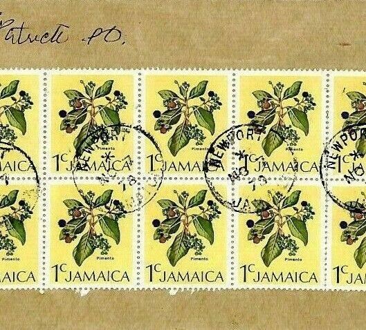 Jamaica *Newport* CDS Cover FLOWERS BLOCK FRANKING {samwells-covers}1978 CS134