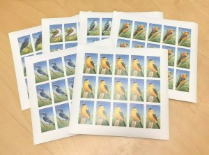 Burkina Faso 1998 - Birds Set of 6 values- Scott #1098-03 - IMPERF sheets - MNH