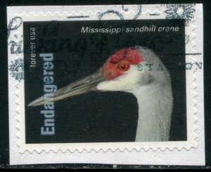 5799t US (63c) Endangered Species - Mississippi Sandhill Crane SA, used on paper