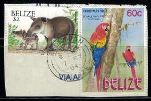 Belize #1128a,1170 on piece  CV $6.00