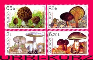 MOLDOVA 2007 Nature Flora Plants Mushrooms Fungi 4v Sc552-555 Mi578-581 MNH