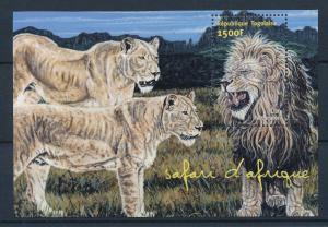 [27030] Togo 2001 Wild Life Mammals Lion MNH Sheet