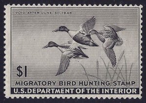 RW12 - $1 F-VF Shoveler Duck Stamp Mint NH Cat $100