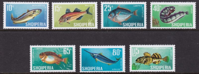 Albania, Fauna, Fishes MNH / 1967