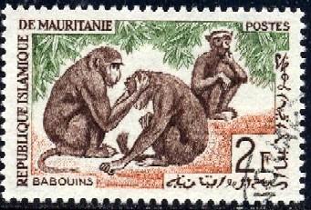 Guinea Baboons, Mauritania stamp SC#137 used