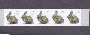 PNC5 20c Rabbit (2021-) SA P11111 US 5545 2nd Oz Rate MNH 