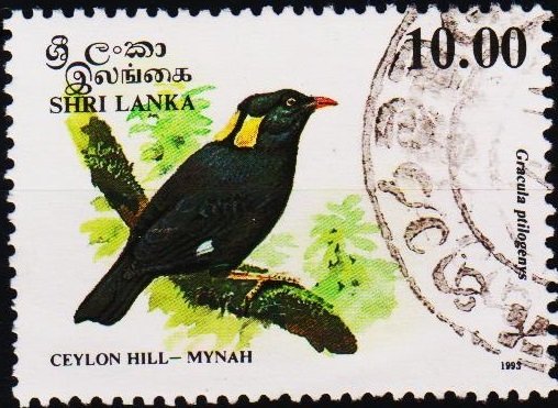 Sri Lanka. 1993 10R S.G.1245 Fine Used