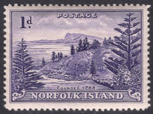 NORFOLK ISLAND SCOTT 2