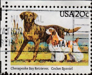 # 2099 USED RETRIEVER AND COCKER SPANIEL