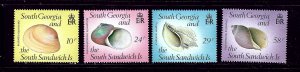 South Georgia 127-30 MNH 1988 Sea Shells