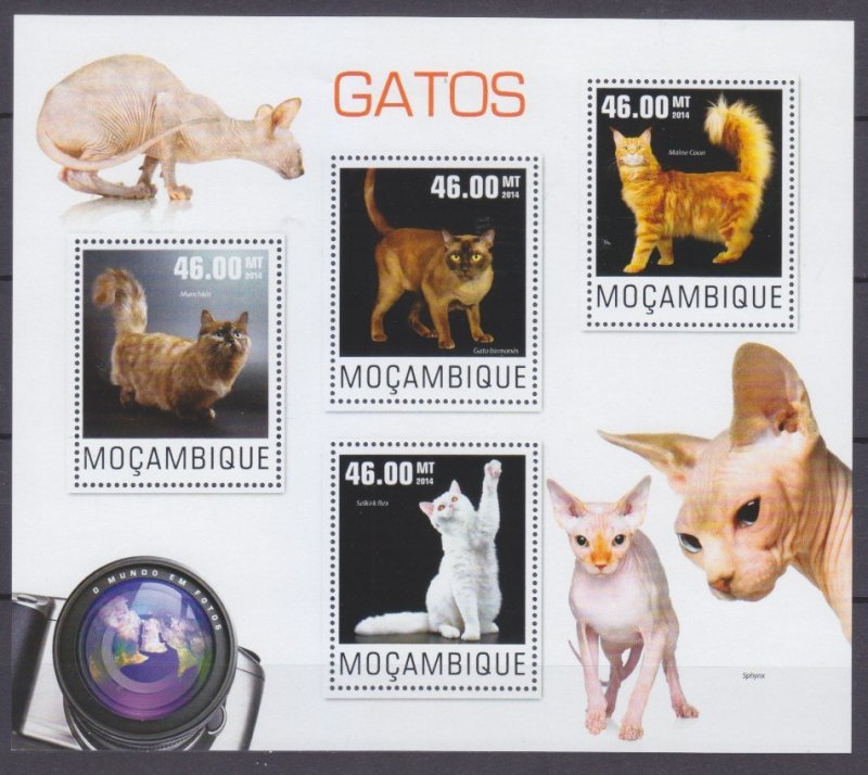 2014 Mozambique 7615-7618KL Cats 10,00 €