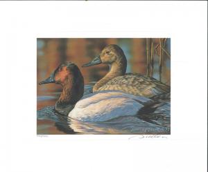 RW60 1993 FEDERAL DUCK STAMP PRINT CANVASBACKS by Bruce Miller