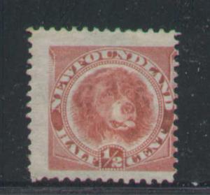 Newfoundland #1346 - Scott cat. #56 - 1/2c Newfoundland dog , rose red - unused