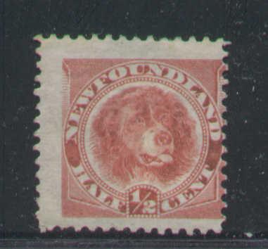 Newfoundland #1346 - Scott cat. #56 - 1/2c Newfoundland dog , rose red - unused