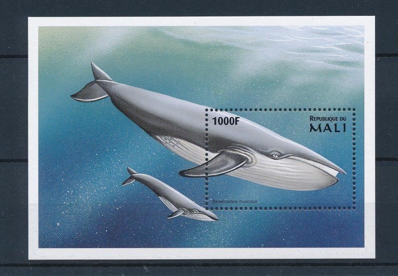 [36656] Mali 1997 Marine life Whale MNH Sheet