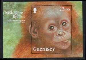 Guernsey Sc 1246 2014 Sumatran Orangutan stamp sheet mint NH