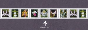 PNC9 55c Wild Orchids B1111 US 5435-5444, 5444a MNH Plate Number Middle Stamp
