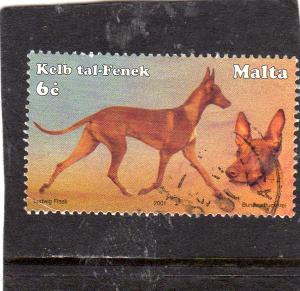 Malta Dogs used