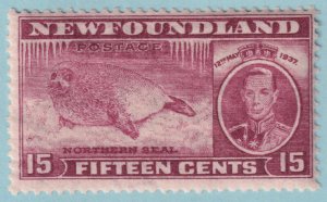 NEWFOUNDLAND 239  MINT HINGED OG * TONED GUM - VERY FINE! - BBJ