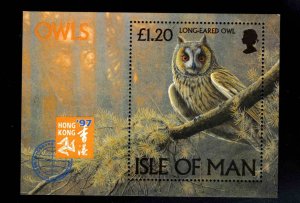 ISLE OF MAN Scott 733 Owl souvenir sheet