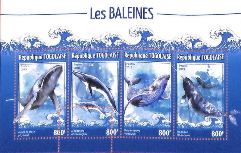 A7054 - TOGO, Error, 2019, MISPERF MINIATURE SHEET: Whales, Marine Life