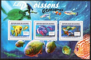 Guinea 2011 Marine Life Fishes sheet MNH