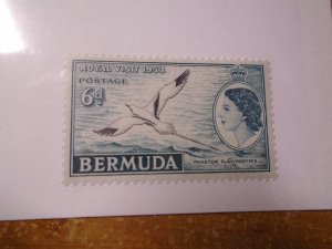 Bermuda  #  152  MH  Birds