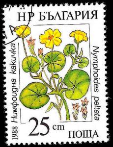 Used Box World Wide Scan 810