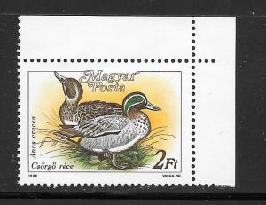 Hungary  #3136 MNH Crecca Ducks Single