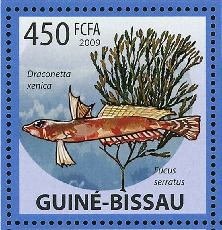 Marine Plants Fish Stamp Dragonetta Xenica Fucus Serratus S/S MNH #4291-4295