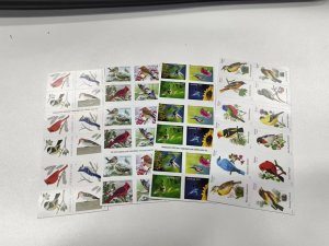 Birds forever stampa, 50 sheets total 1000 pcs random styles