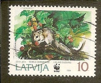 Latvia  Scott 383  Dormouse   Used