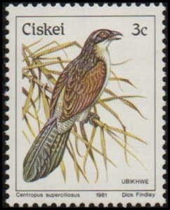 Ciskei 7 - Mint-NH - 3c White-browed Coucal (1981)