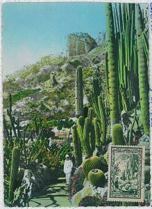 32445 - MONACO - MAXIMUM CARD: nature CACTUS cactii 1949 - NICE!-