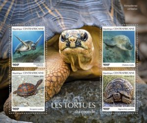 Central Africa - 2019 Turtles - 4 Stamp Sheet - CA190205a