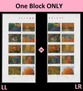 US 5929-5938 5938b Autumn Colors F plate block 10 MNH 2024