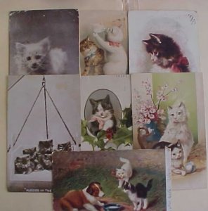US  7 DIFF. CATS 1900-1908 PICTURE CARDS