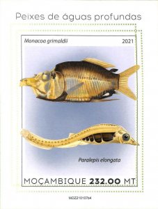 A8161 - MOCAMBIQUE - ERROR MISPERF Stamp Sheet -2021 MARINE LIFE Fishes