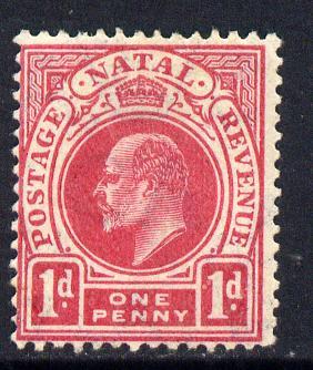 Natal 1904-08 KE7 MCA Postage-Revenue 1d deep carmine mou...