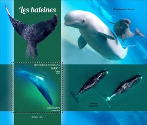 Togo - 2023 Fin Whale on Stamps - Stamp Souvenir Sheet - TG230107b