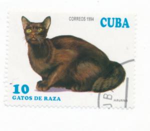 Cuba 1994 Scott 3553 used - 10c, Cats, Havana