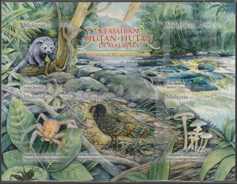 Malaysia 2013 Wonders of Malaysian Forests MS Mint SG#1951 MNH