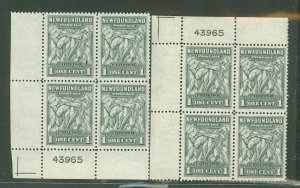 Newfoundland #253 Mint (NH) Plate Block